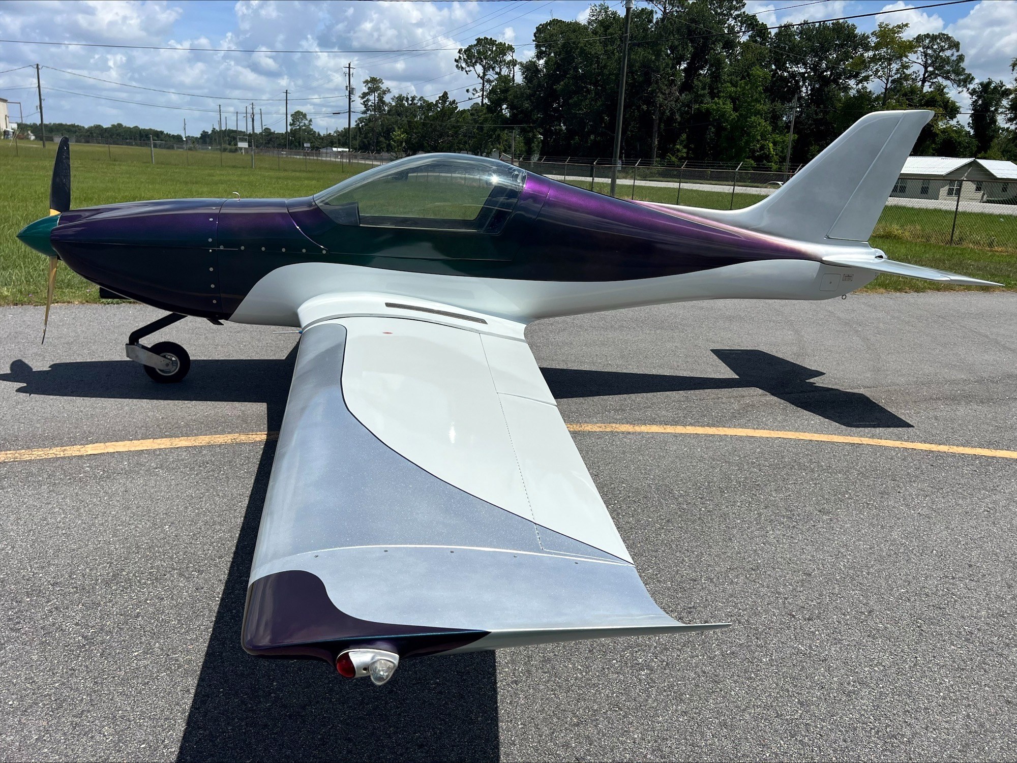 Saberwing wing detail